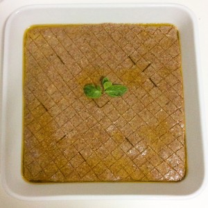 gale-comida17